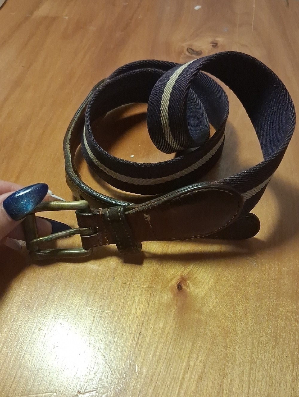 Dooney And Bourke Women Navy and Tan Striped Canvas Belt with Brown Leather Trim